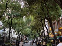 -巴公房子