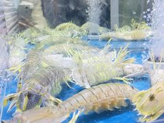 -盒马鲜生(公园1903店)