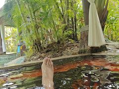 -碧桂园润杨溪谷温泉酒店