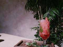 -梧桐