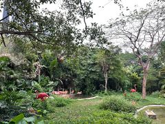 -深圳野生动物园