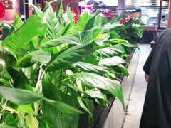 -管氏翅吧(台湾街店)