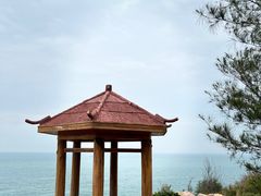 -广东惠东海龟国家级自然保护区