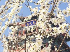 -永定河休闲森林公园