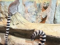 -洛阳龙门海洋馆