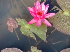 -红色娘子军纪念园