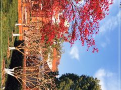 -辛亥革命博物院北区