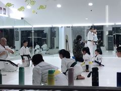 -极真空手道修远道场