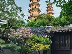 -艺圃