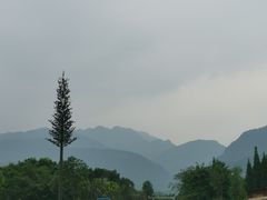 -乐领拈花溪·林涧食韵
