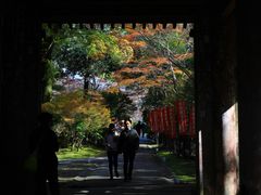 -醍醐寺