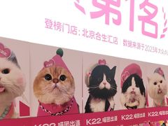 -K22.酸奶草莓(烟台芝罘店)