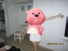 -玫瑰海岸假日酒店