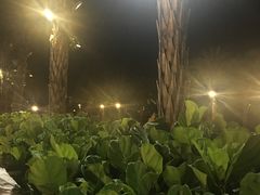 -木屋烧烤(惠阳华润小径湾店)
