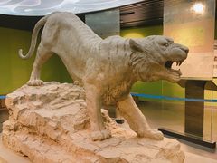 -鄂尔多斯青铜器博物馆