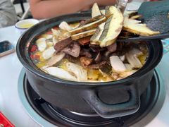 -蘑统田下·野生菌火锅