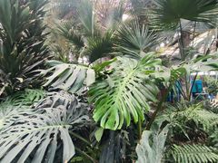 -石家庄市植物园