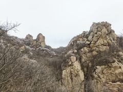 -大岭沟猕猴桃谷风景区