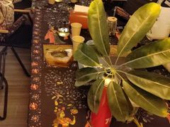 -树洞桌游宠咖小酒馆