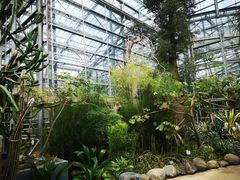 -南山植物园