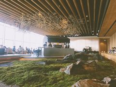 -Seesaw Coffee(朝阳大悦城店)