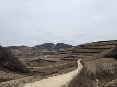 -罗姐烧烤(东风路一段店)