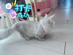 -Beauty Nails 美甲美睫皮肤管理