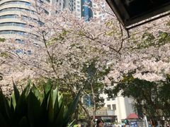 -玛格萝妮比萨屋(四平店)