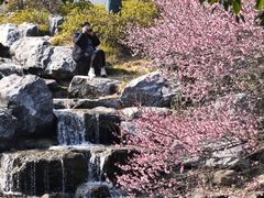 -中国茶叶博物馆(双峰馆区)