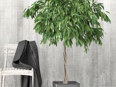 -好运来蛋糕店(今麦郎店)