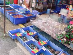 -清平路水族市场