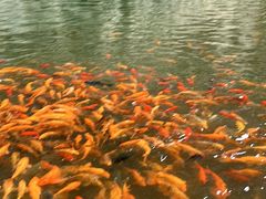 -楠溪江风景名胜区