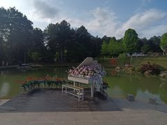 -铁山坪森林公园