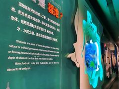 -中国湿地博物馆