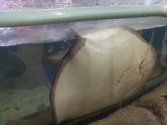 -鸿通城购物中心