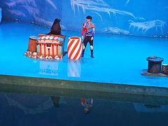 -大连圣亚海洋世界