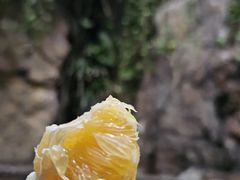 -龙熙温泉水世界