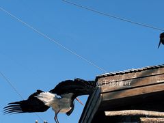 -太原动物园