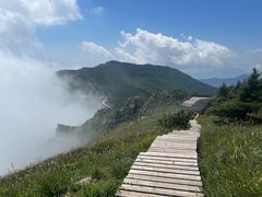 -白草畔自然风景区