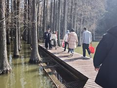 -采石矶景区