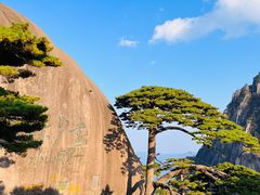 -黄山风景区