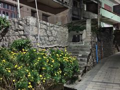 -东极岛景区