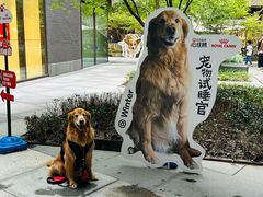 -瑞虹新天地月亮湾