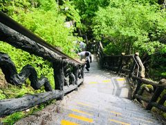 -汤旺河林海奇石景区
