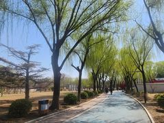 -太阳宫公园