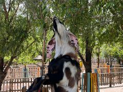 -水上乐园·欢乐世界