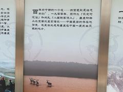 -北京麋鹿生态实验中心