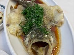 -金华安大酒楼·老牌潮菜·粤式茶点(东方国际店)