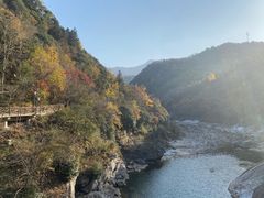 -燕子河大峡谷天坑仙境