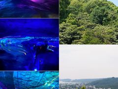 -同里国家湿地公园